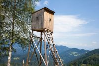 Etika v poľovníctve