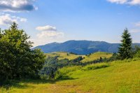 Letná starostlivosť o revír