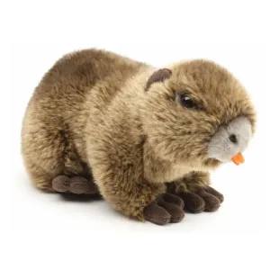 Nutria plyšová