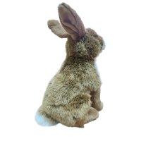 Zajac plyšové zviera